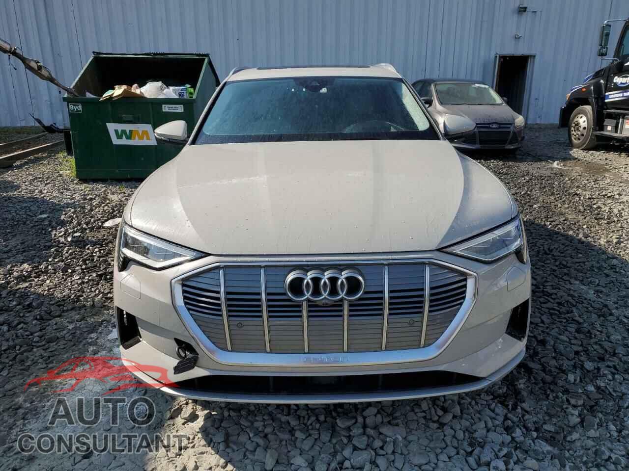 AUDI E-TRON 2019 - WA1VAAGE8KB015048
