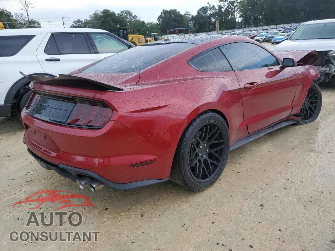 FORD MUSTANG 2019 - 1FA6P8CF3K5117068