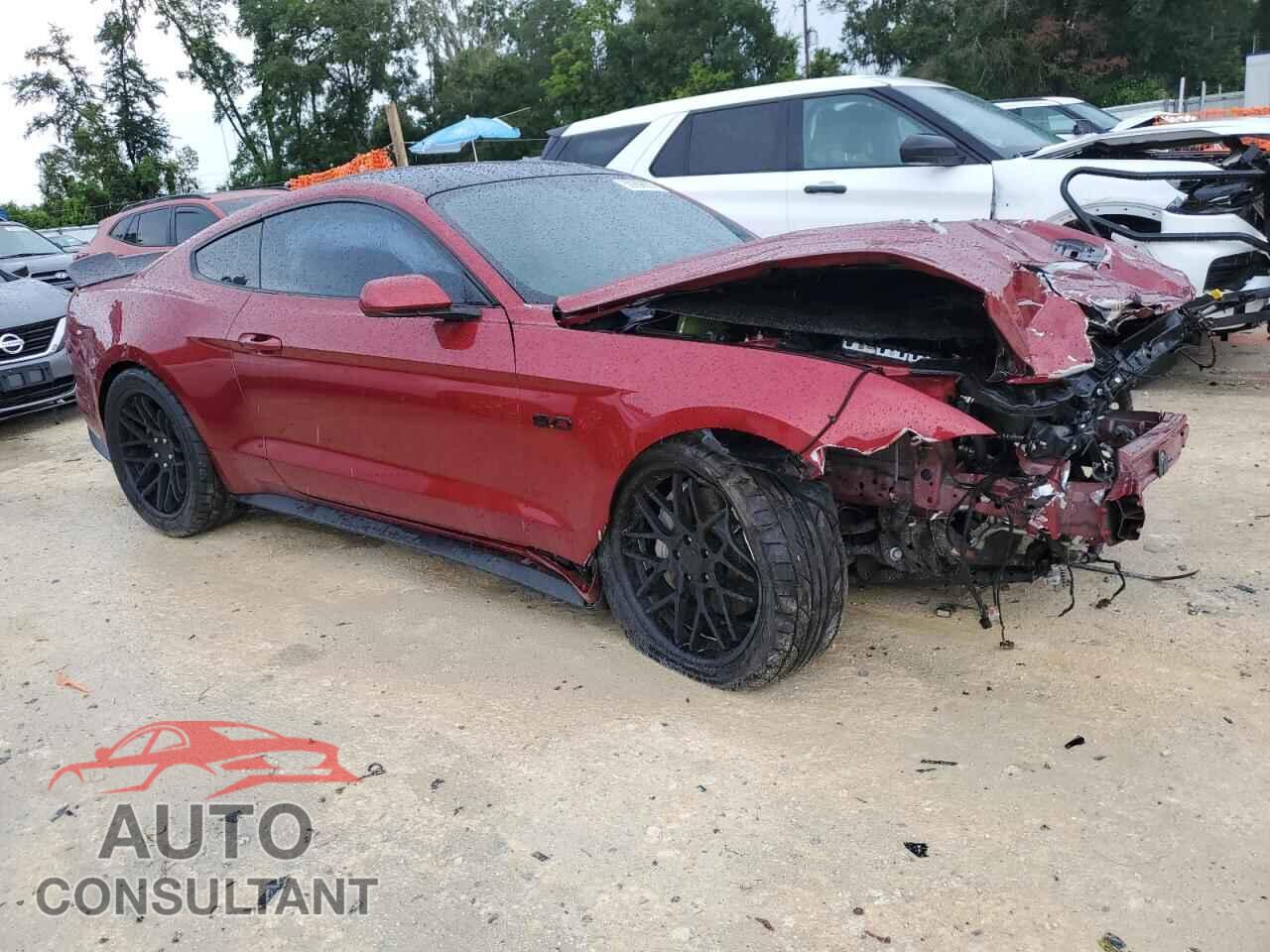 FORD MUSTANG 2019 - 1FA6P8CF3K5117068