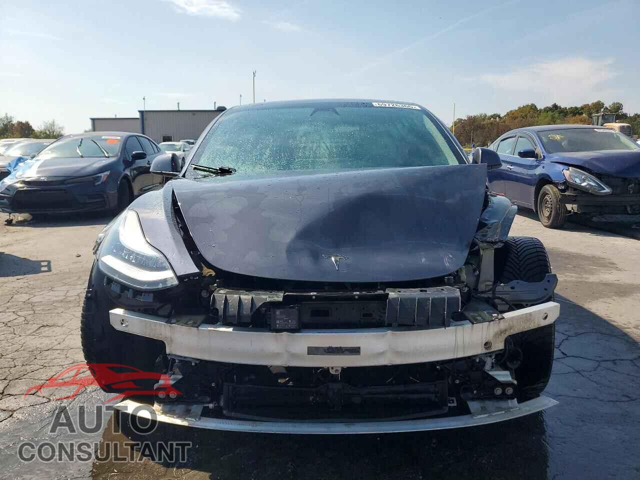 TESLA MODEL 3 2019 - 5YJ3E1EB8KF520692