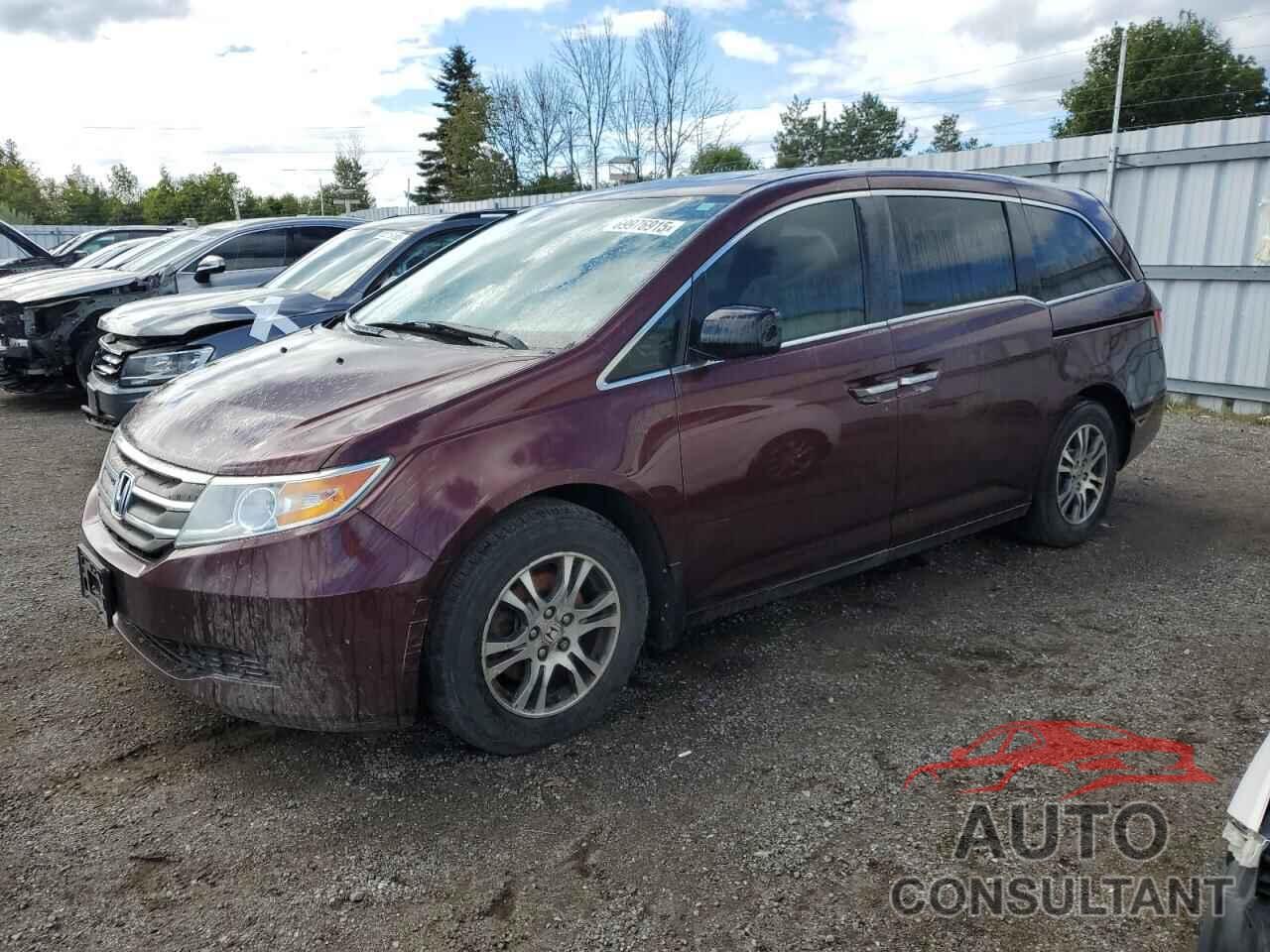 HONDA All Models 2013 - 5FNRL5H65DB508329