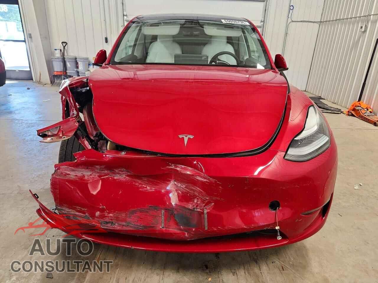 TESLA MODEL Y 2023 - 7SAYGAEE1PF791632