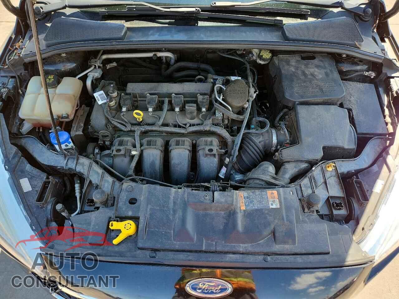 FORD FOCUS 2015 - 1FADP3K2XFL384461