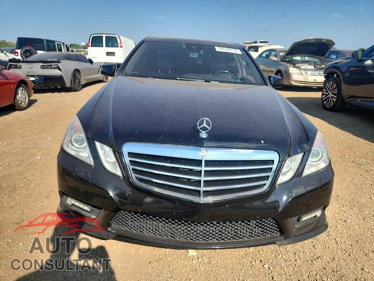 MERCEDES-BENZ E-CLASS 2010 - WDDHF9ABXAA128141