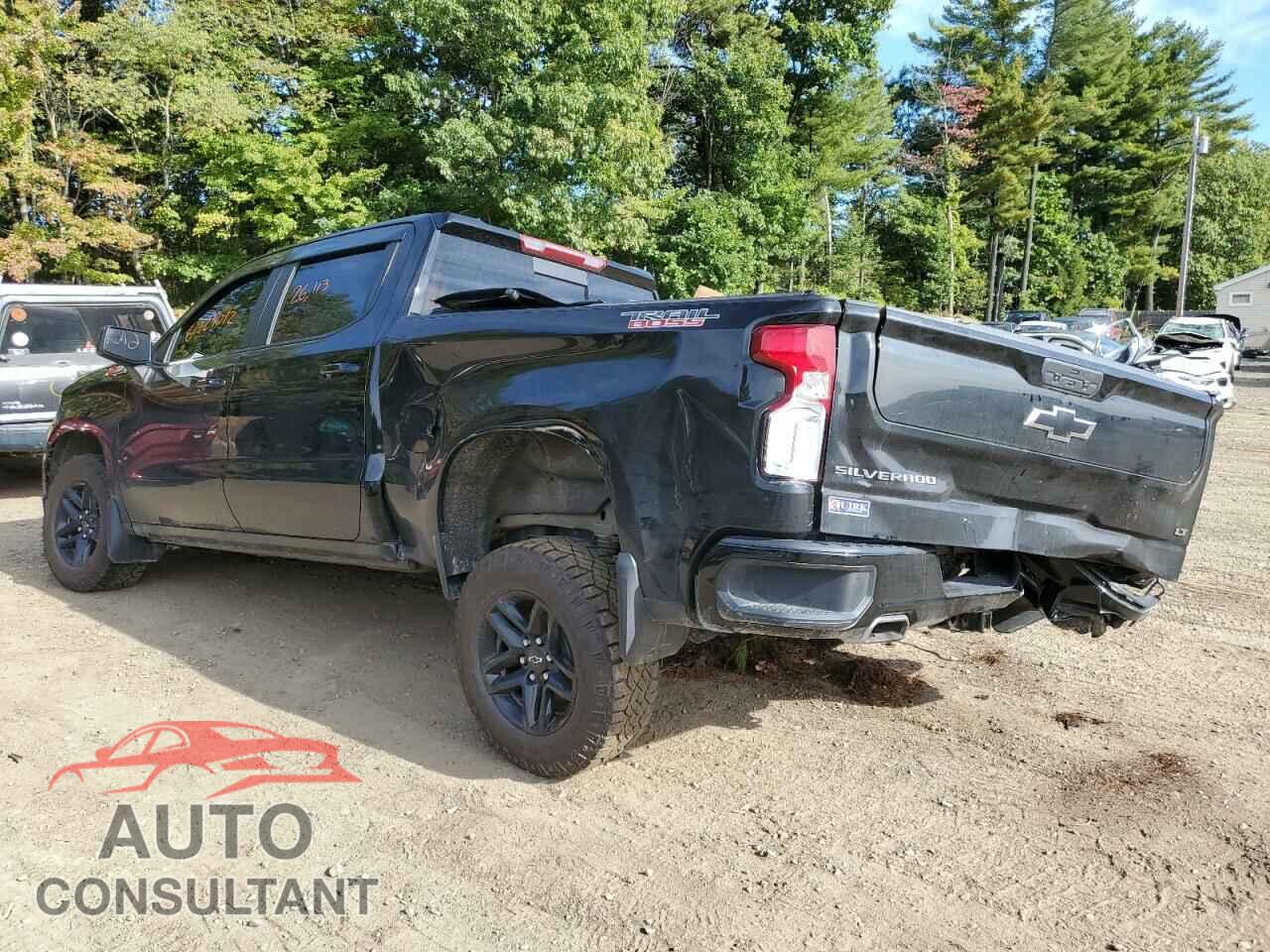 CHEVROLET SILVERADO 2021 - 3GCPYFED5MG261809