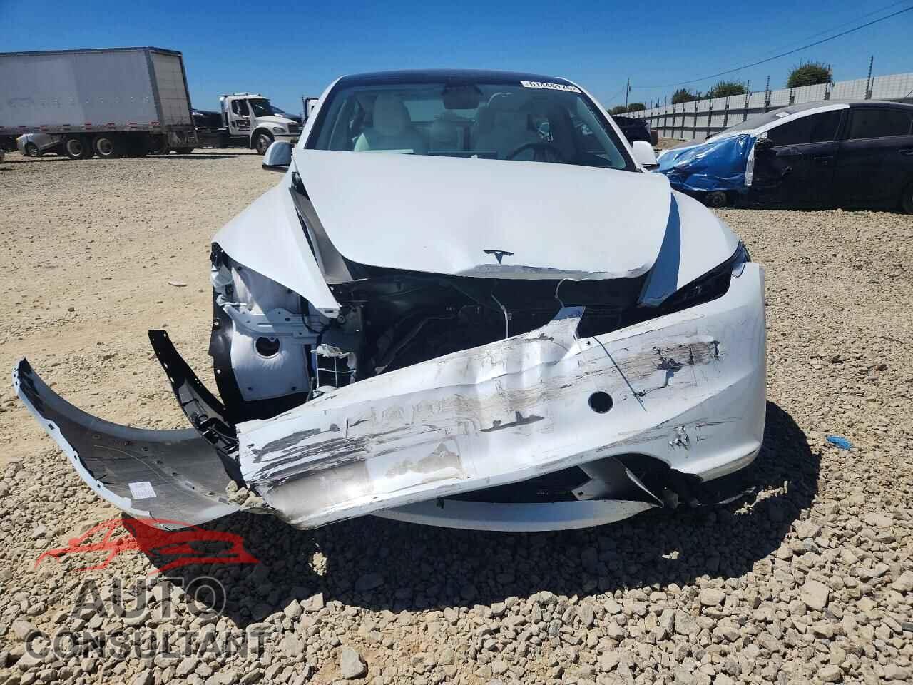 TESLA MODEL 3 2026 - 5YJ3E1EA9TF146005