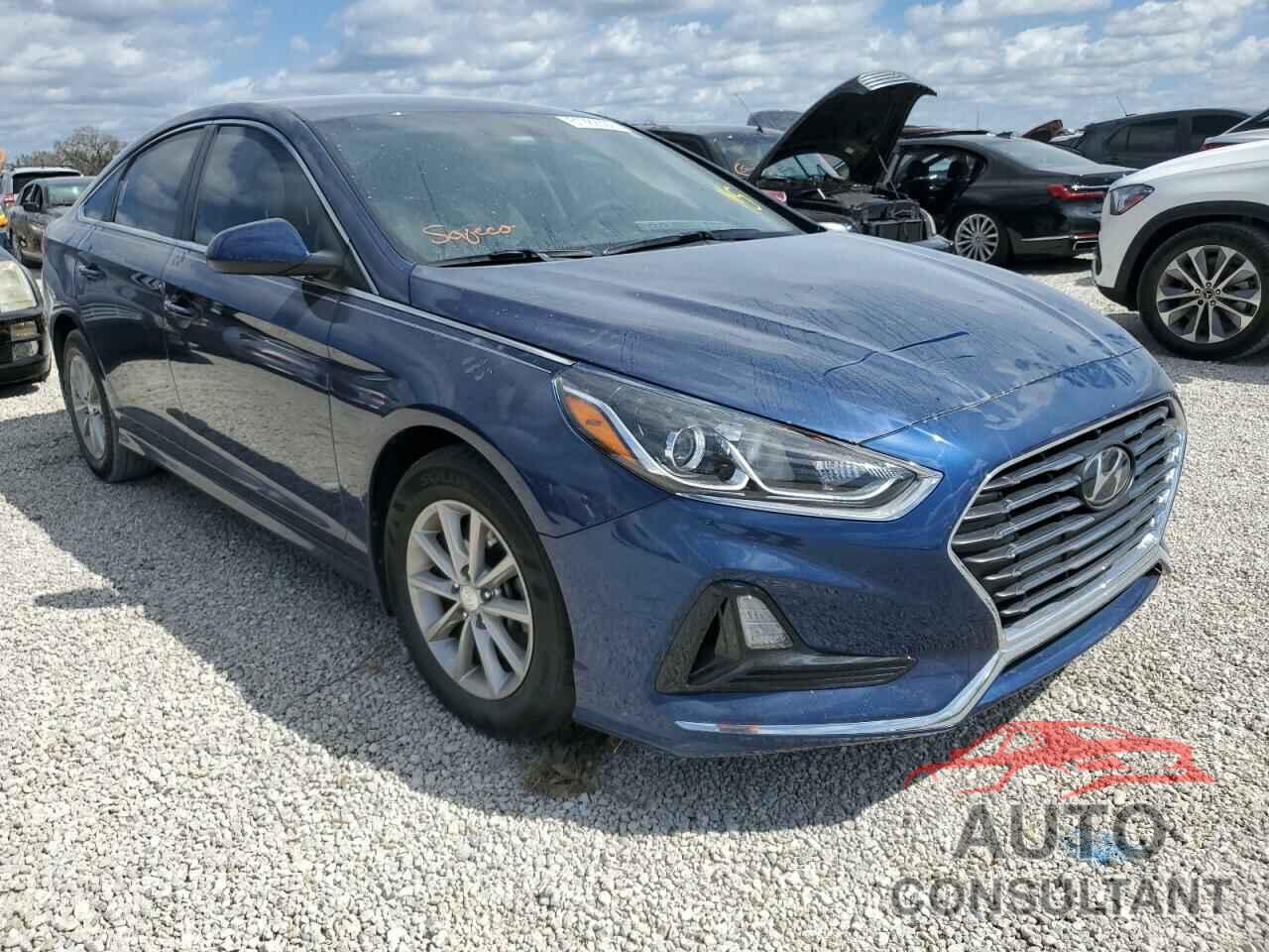 HYUNDAI SONATA 2019 - 5NPE24AF2KH810682