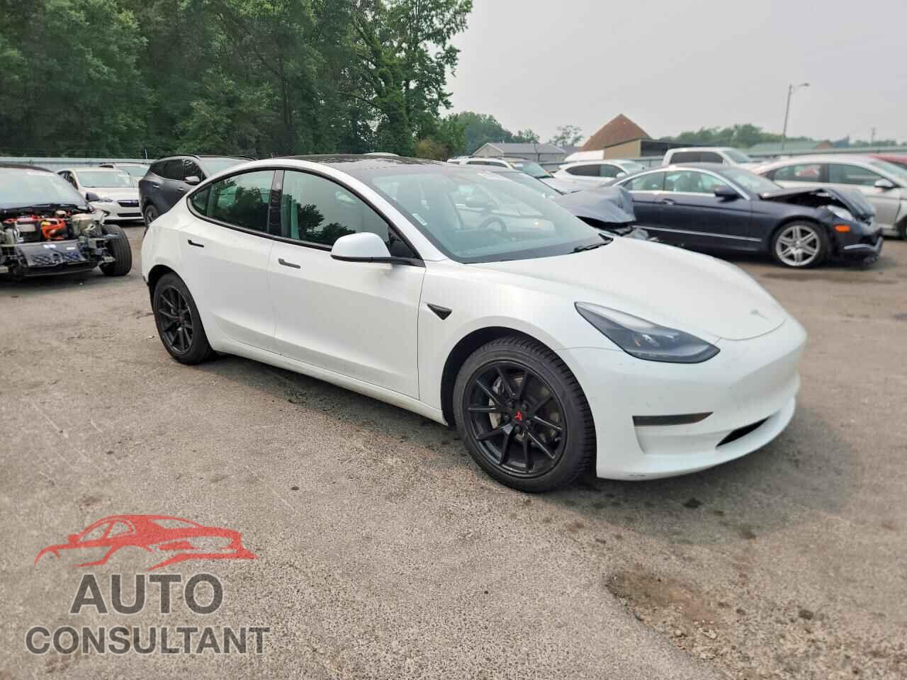 TESLA MODEL 3 2021 - 5YJ3E1EA6MF030990