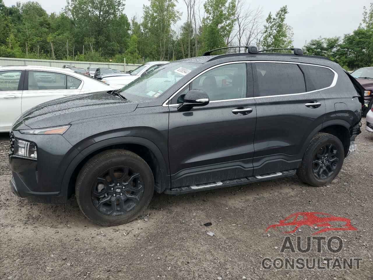 HYUNDAI SANTA FE 2023 - 5NMS6DAJ3PH501206