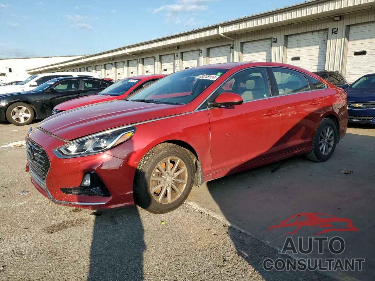 HYUNDAI SONATA 2019 - 5NPE24AF5KH798155