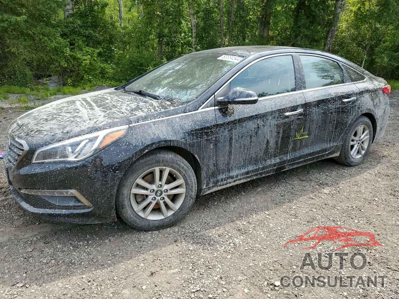 HYUNDAI SONATA 2017 - 5NPE24AF2HH461144