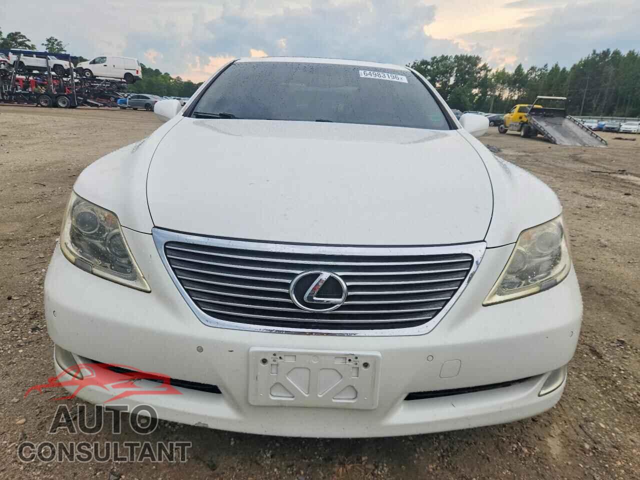LEXUS LS460 2009 - JTHBL46F195090258