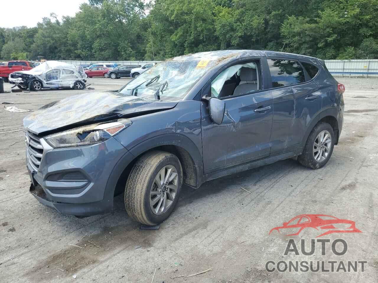 HYUNDAI TUCSON 2017 - KM8J23A46HU329240