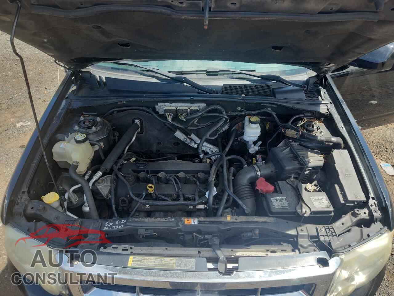 FORD ESCAPE 2010 - 1FMCU9E76AKD24051