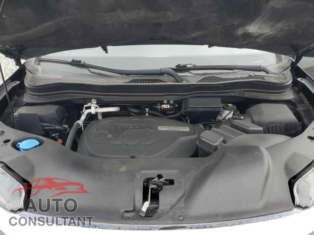 HONDA PILOT 2019 - 5FNYF5H56KB031501