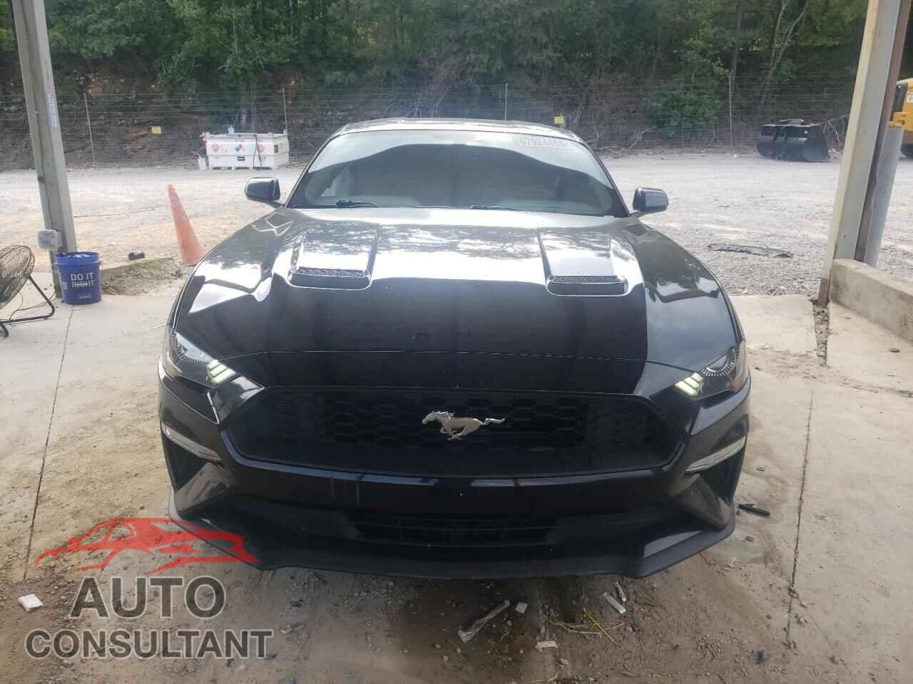 FORD ALL Models 2019 - 1FA6P8TH3K5132199