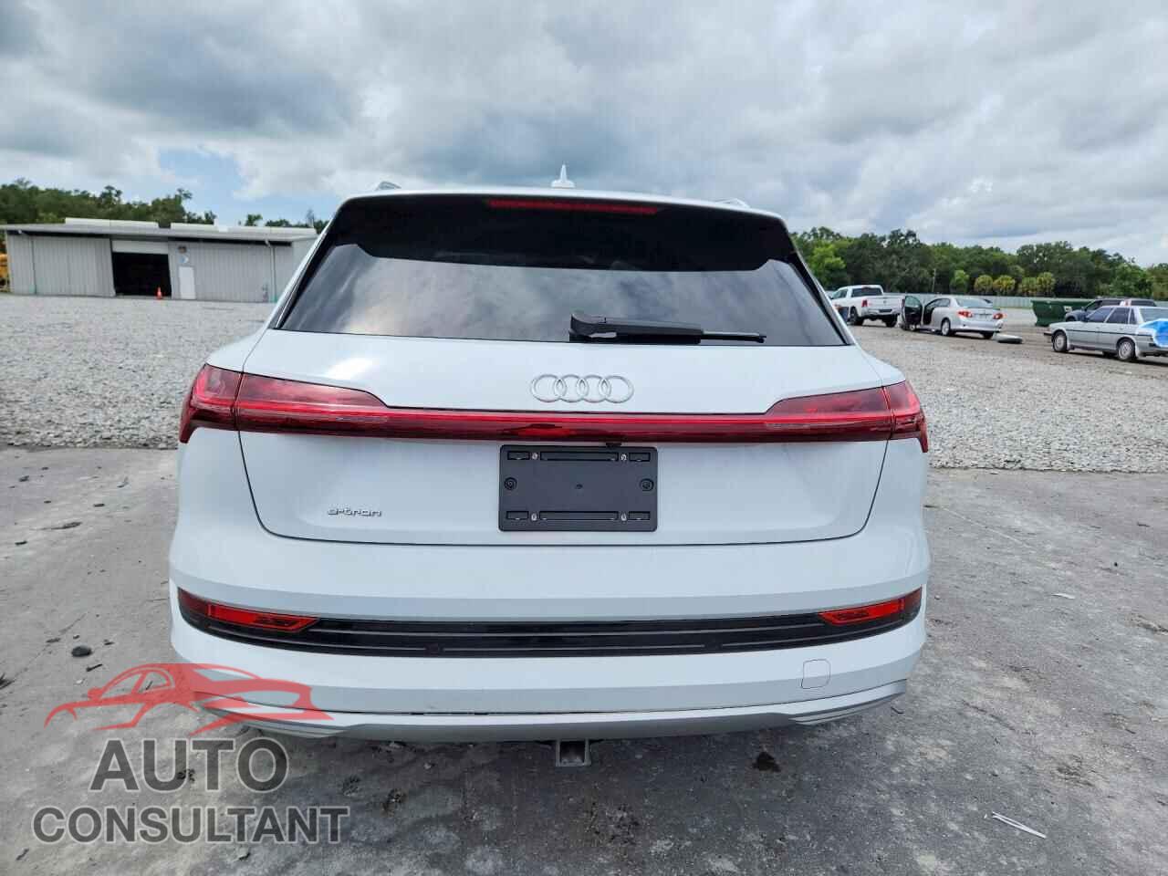 AUDI E-TRON 2019 - WA1VABGE9KB019129