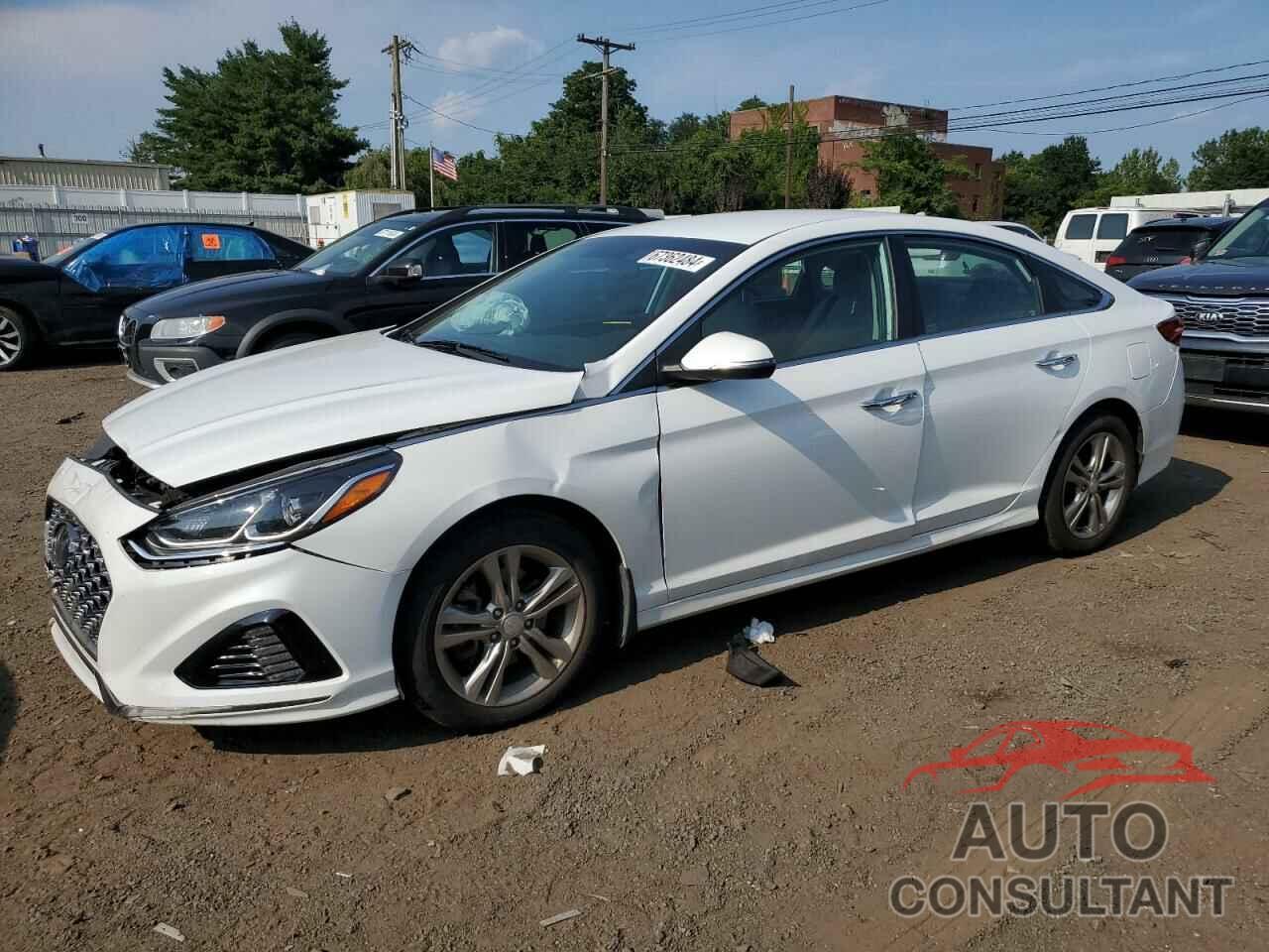 HYUNDAI SONATA 2019 - 5NPE34AF6KH808964