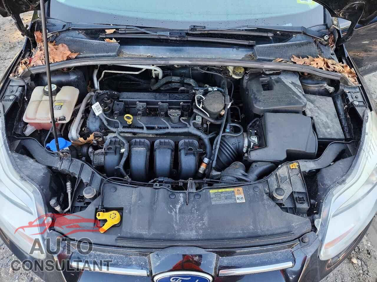 FORD FOCUS 2012 - 1FAHP3F2XCL213135