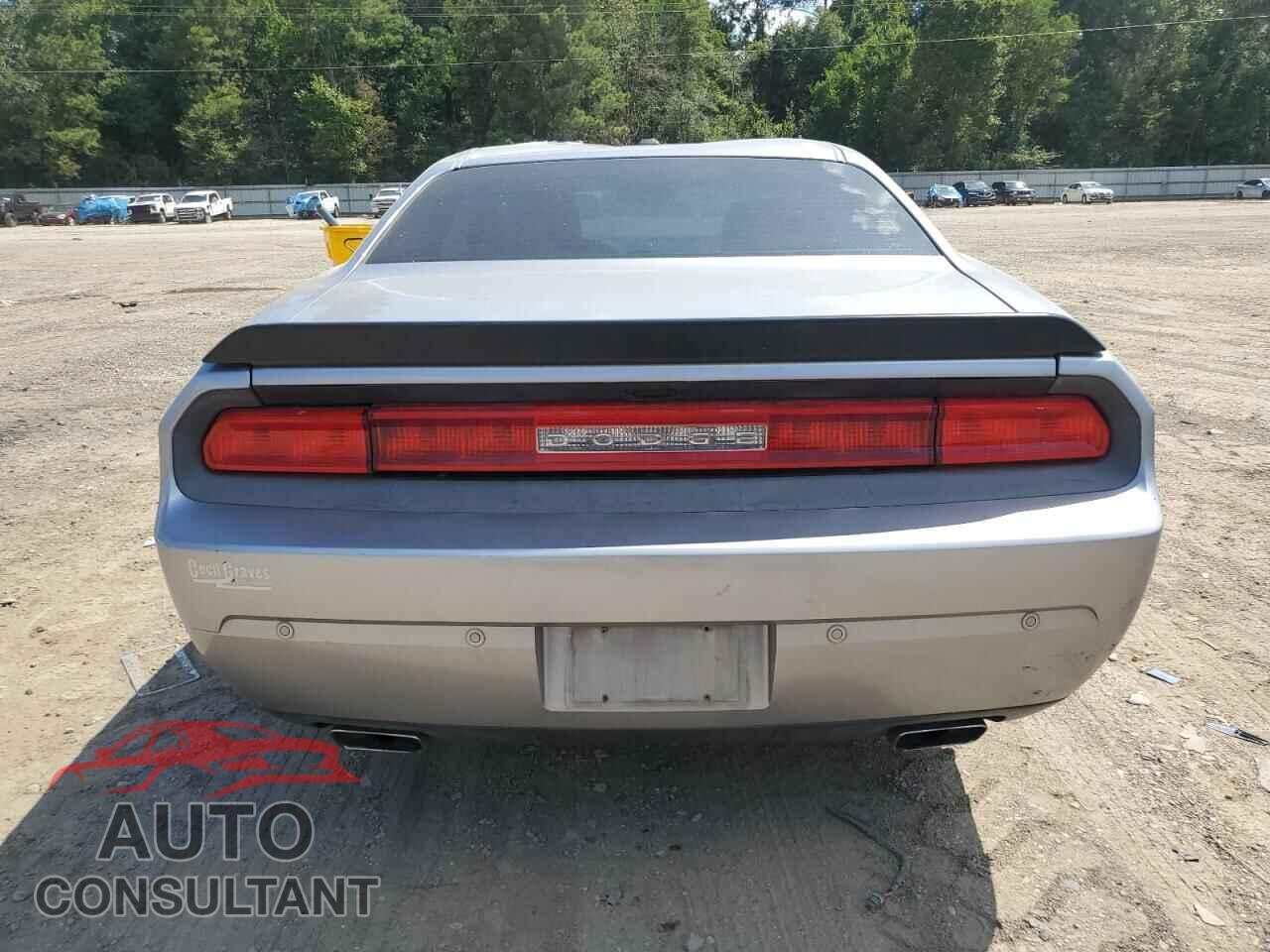 DODGE CHALLENGER 2013 - 2C3CDYAG9DH736548
