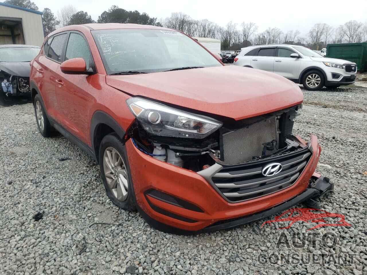 HYUNDAI TUCSON 2016 - KM8J23A44GU021434