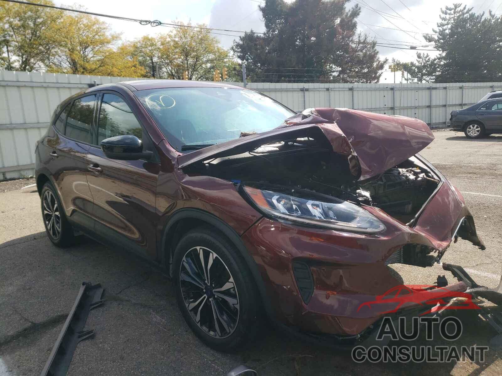 FORD ESCAPE 2021 - 1FMCU0G69MUA46304