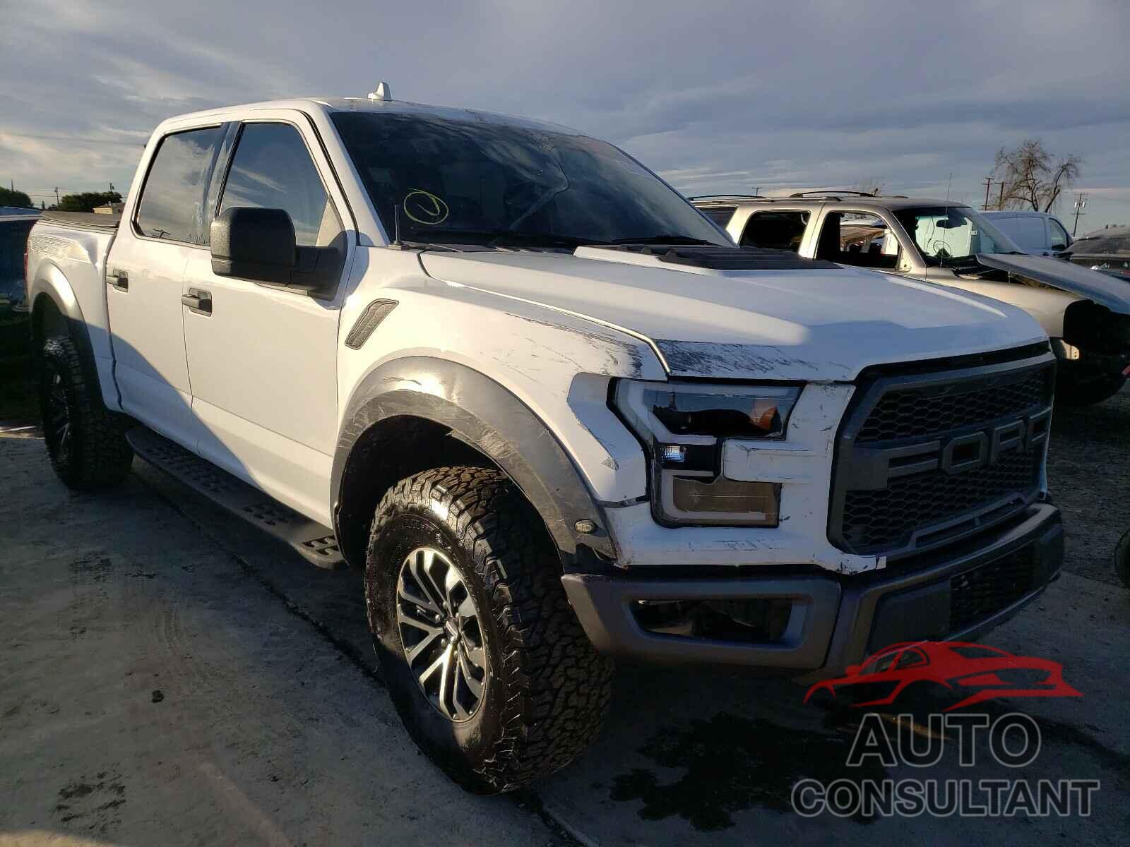 FORD F150 SVT 2019 - 1FTFW1RG7KFC41262