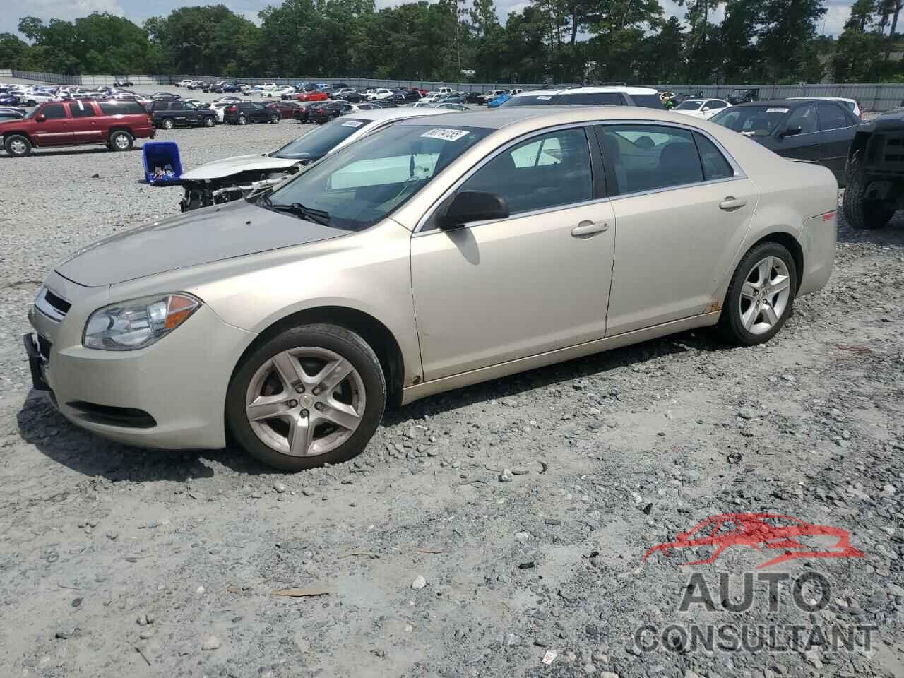 CHEVROLET MALIBU 2011 - 1G1ZA5EU7BF343796