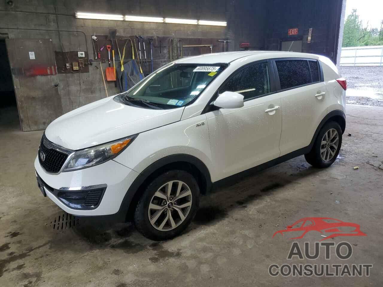 KIA SPORTAGE 2014 - KNDPBCAC4E7605267