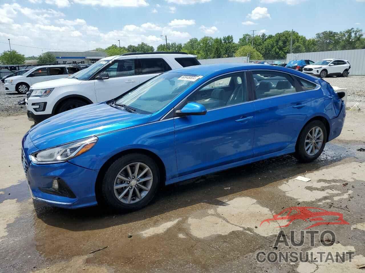 HYUNDAI SONATA 2019 - 5NPE24AF9KH769449