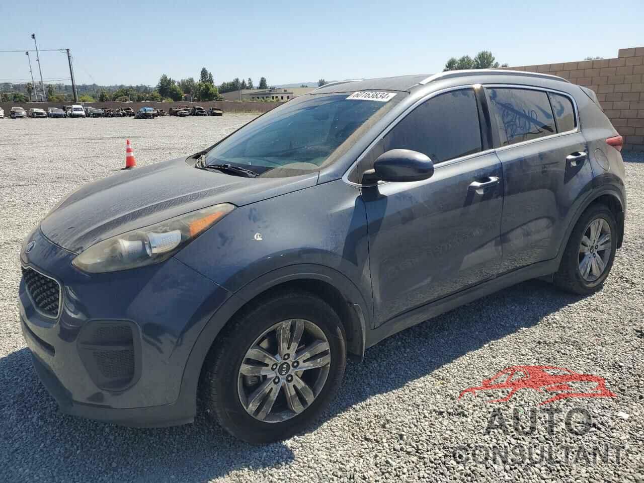 KIA SPORTAGE 2017 - KNDPM3AC8H7053397