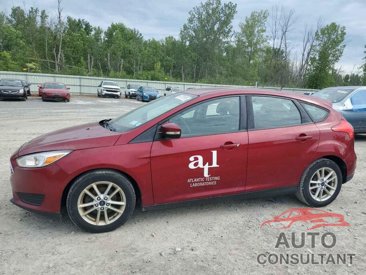 FORD FOCUS 2017 - 1FADP3K24HL212252