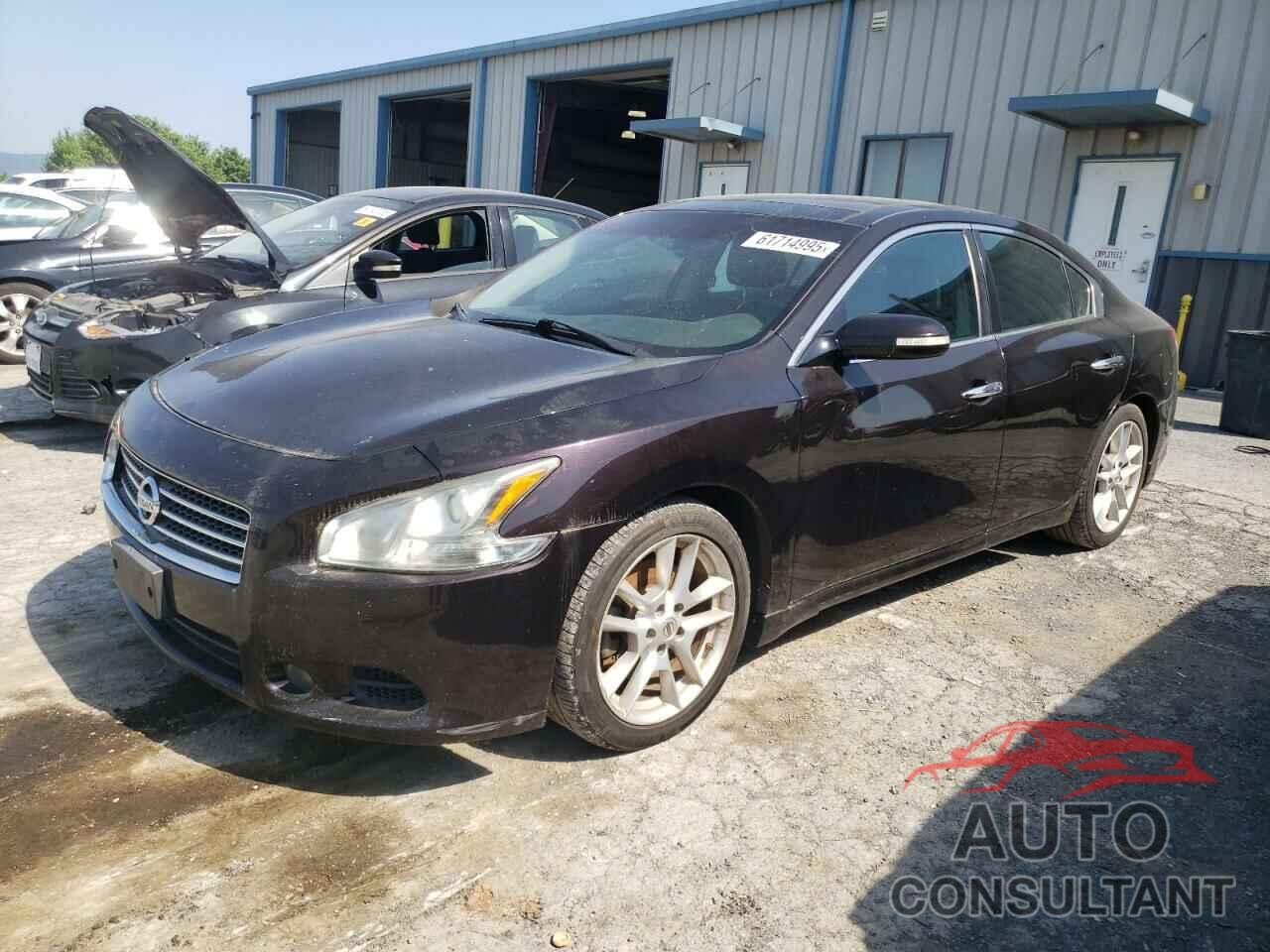 NISSAN MAXIMA 2010 - 1N4AA5AP1AC868217