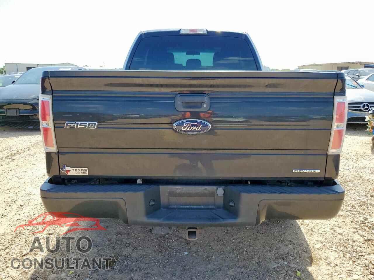 FORD F-150 2013 - 1FTFX1CF5DFD67605