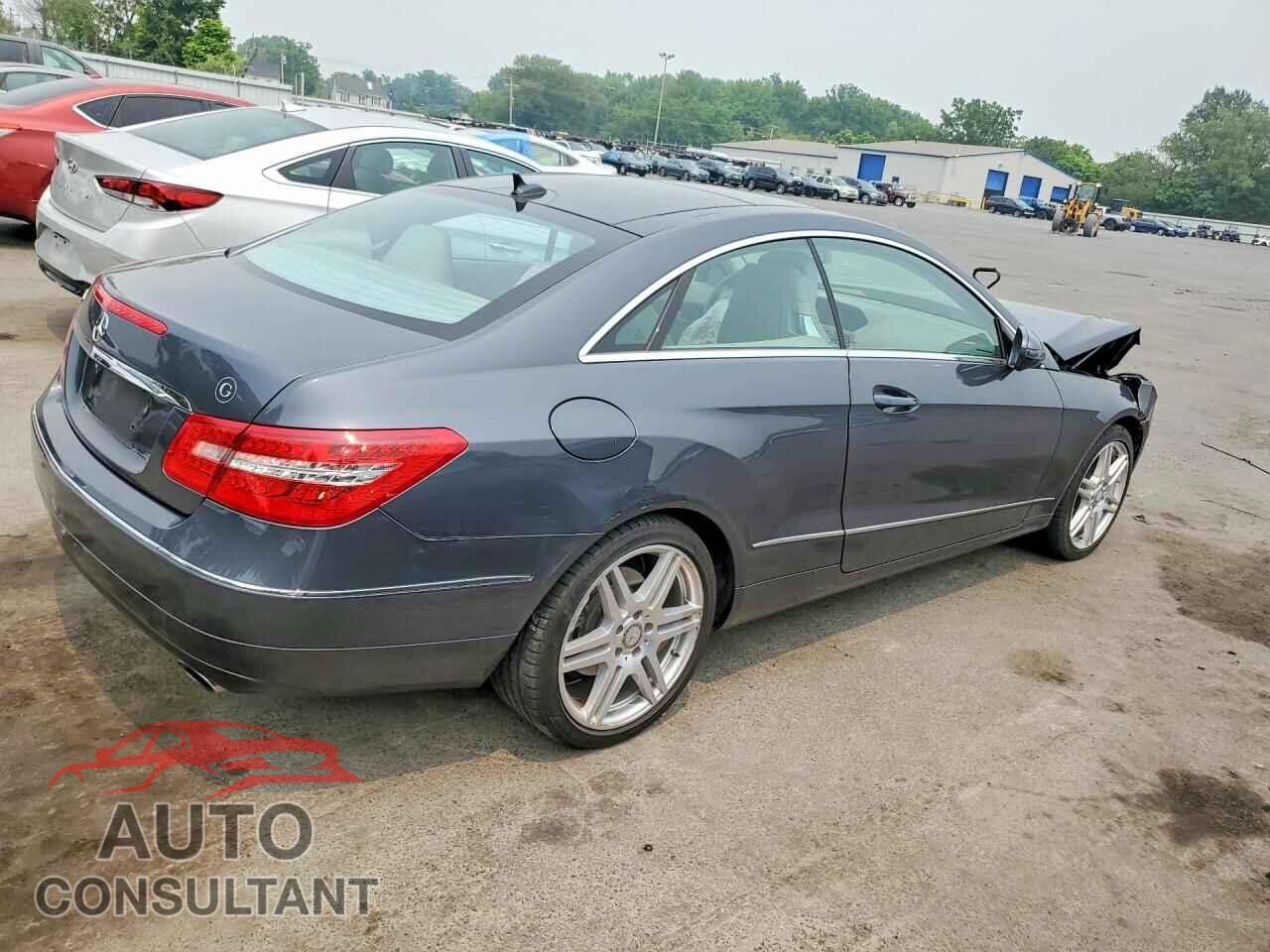 MERCEDES-BENZ E-CLASS 2010 - WDDKJ5GB3AF030480