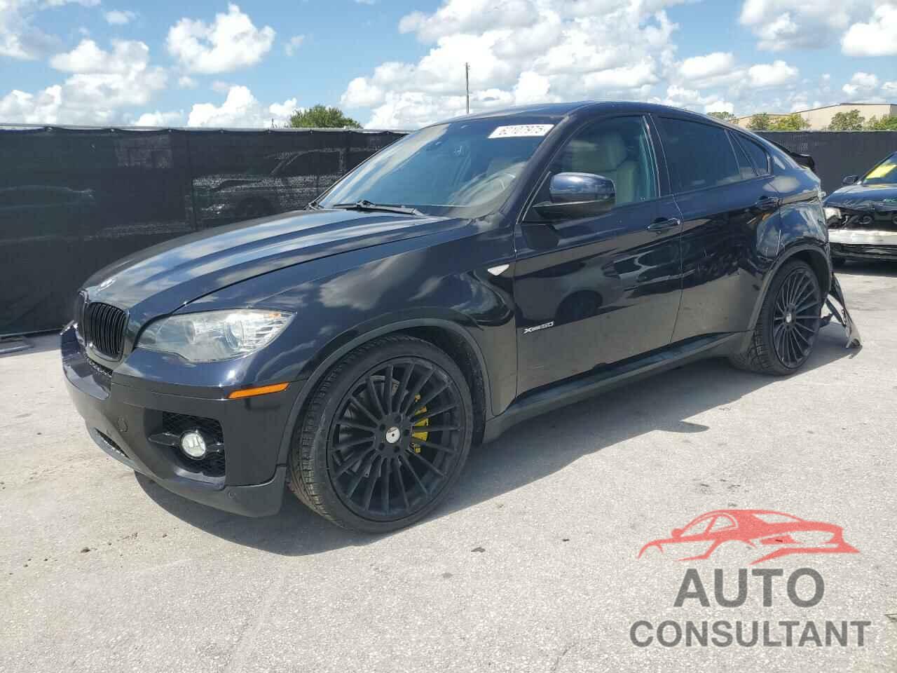 BMW X6 2011 - 5UXFG8C58BLZ95798