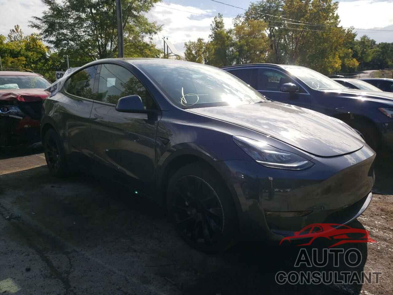 TESLA MODEL Y 2022 - 7SAYGDEE7NF320910