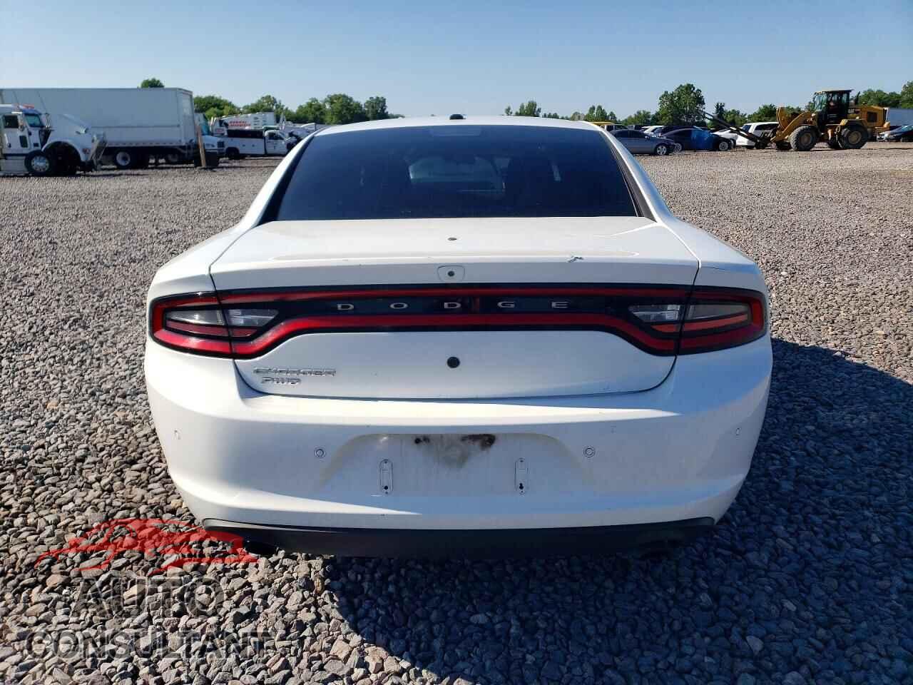 DODGE CHARGER 2019 - 2C3CDXKT9KH647453