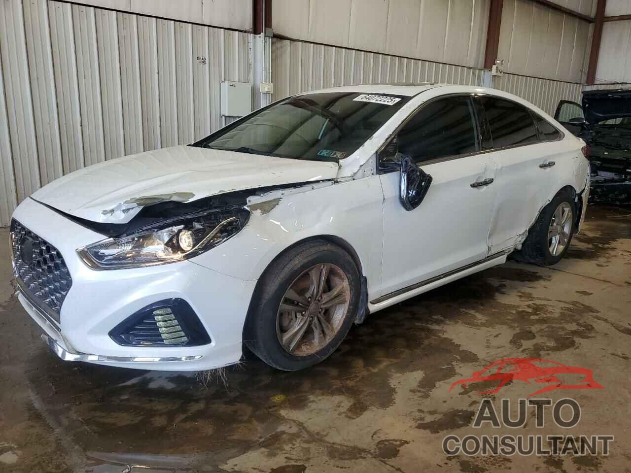 HYUNDAI SONATA 2019 - 5NPE34AF0KH744503