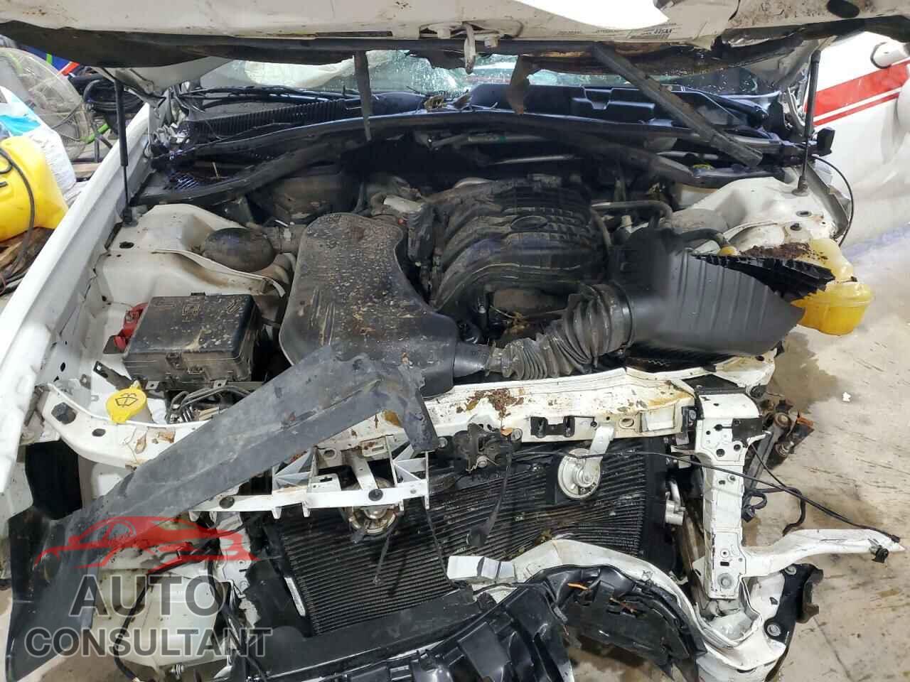 DODGE CHALLENGER 2019 - 2C3CDZAG3KH506622
