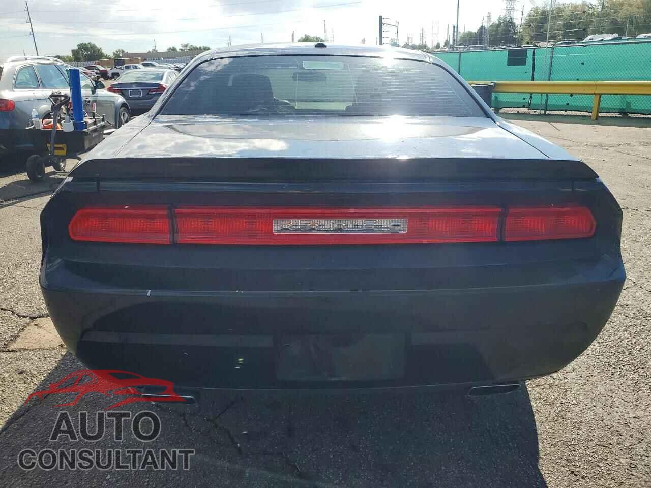DODGE CHALLENGER 2013 - 2C3CDYBT1DH712689