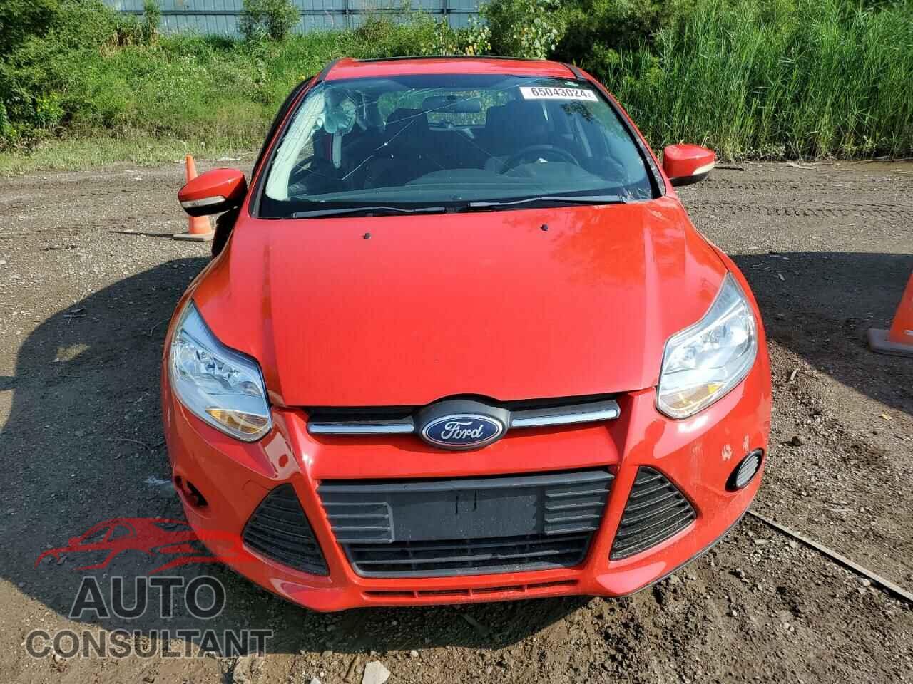 FORD FOCUS 2013 - 1FADP3K28DL178925