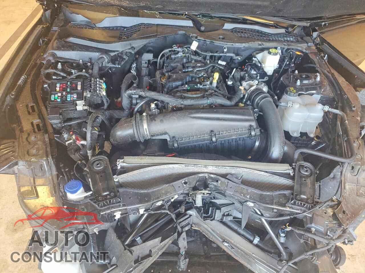 FORD MUSTANG 2025 - 1FA6P8TH7S5128236
