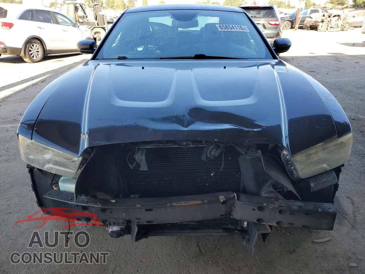 DODGE CHARGER 2013 - 2C3CDXCT3DH656151