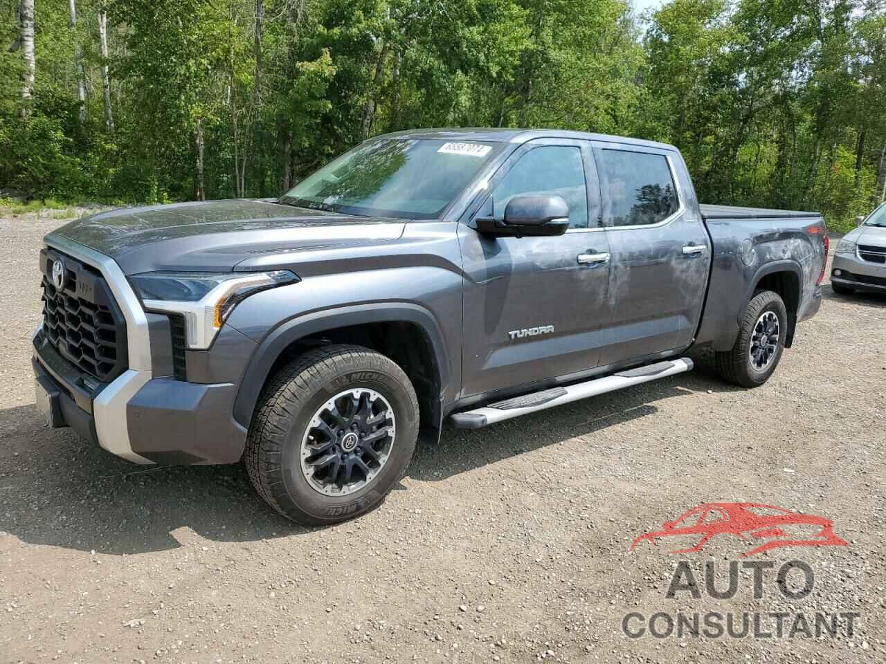 TOYOTA TUNDRA 2023 - 5TFJA5EC1PX017487