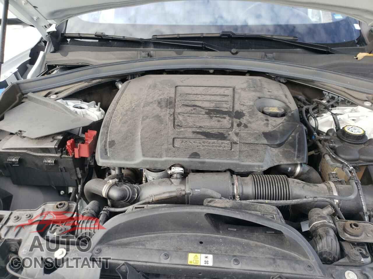 JAGUAR F-PACE 2020 - SADCJ2FX2LA644645