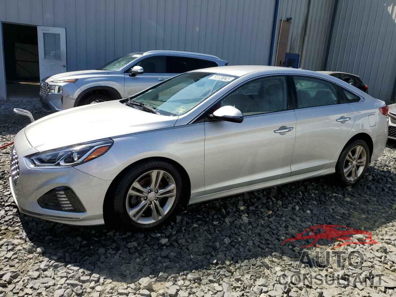 HYUNDAI SONATA 2019 - 5NPE34AF2KH783898