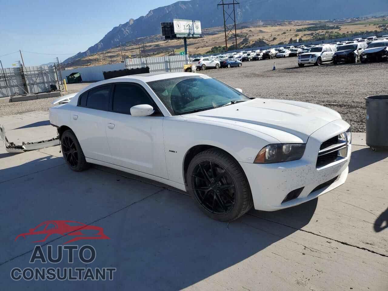 DODGE CHARGER 2014 - 2C3CDXDT5EH322610