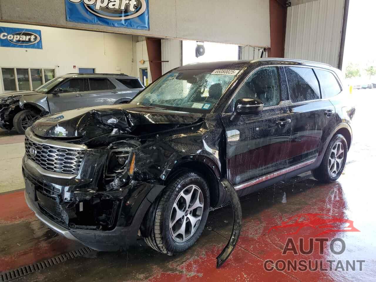 KIA TELLURIDE 2021 - 5XYP3DHC2MG116571