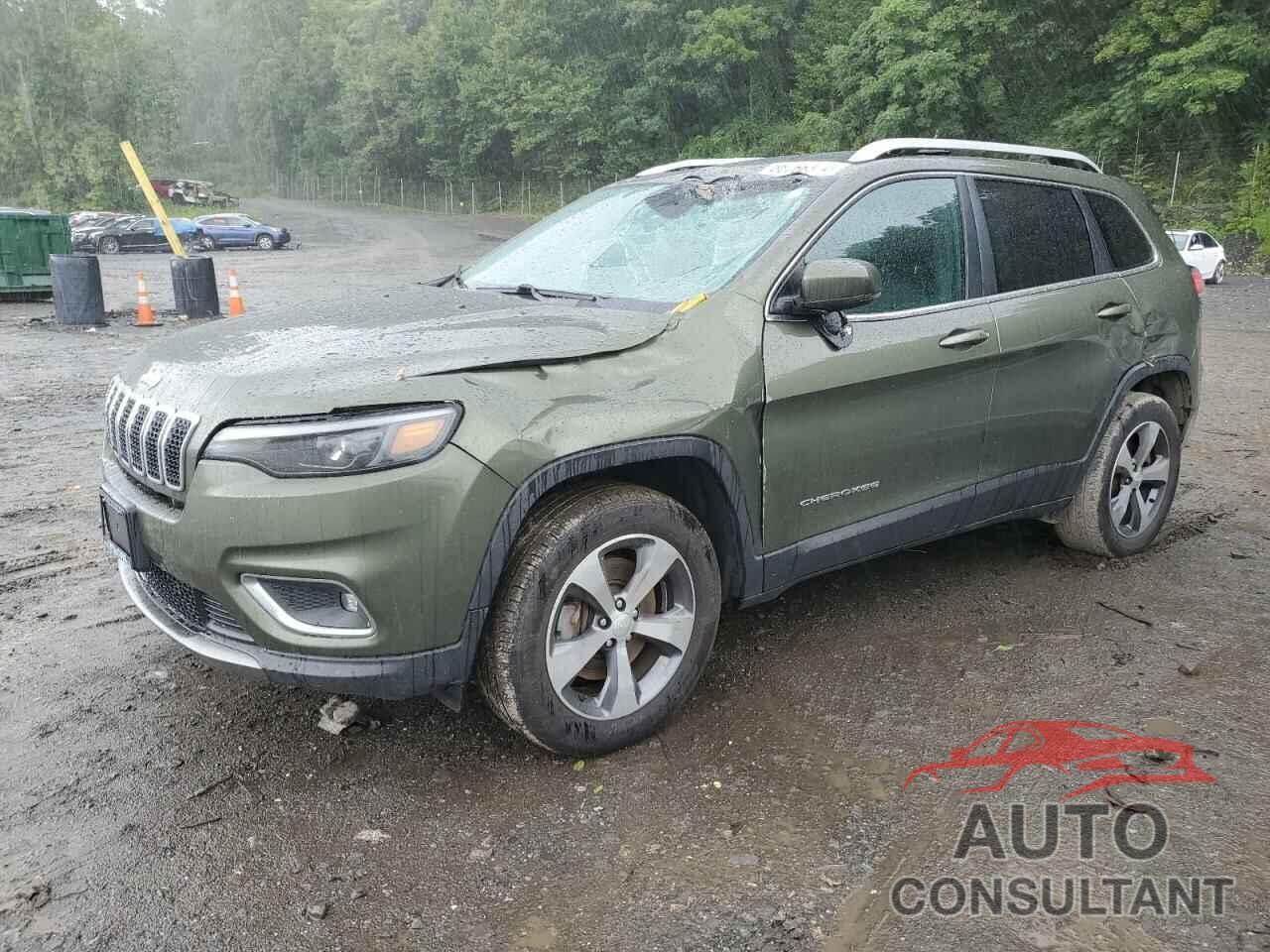 JEEP GRAND CHER 2019 - 1C4PJMDX2KD442283